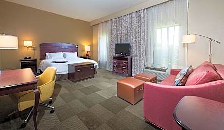 1 KING MOBILITY/HEARING ACCESS TUB STUDIO NS