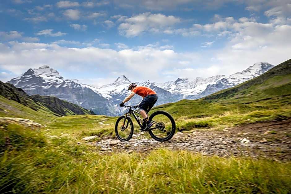 Belvedere Swiss Quality Hotel