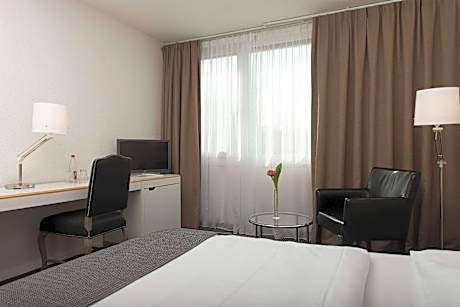 1 Queen Bed Premium Business Room