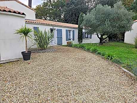 A l'ombre des pins