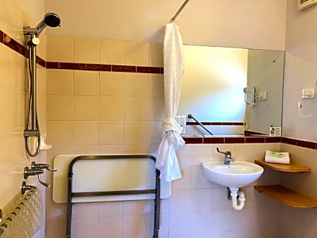 King Room with Roll-In Shower - Disability Access