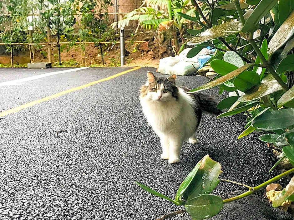 Niruyakanaya BISE - Vacation STAY 36704v