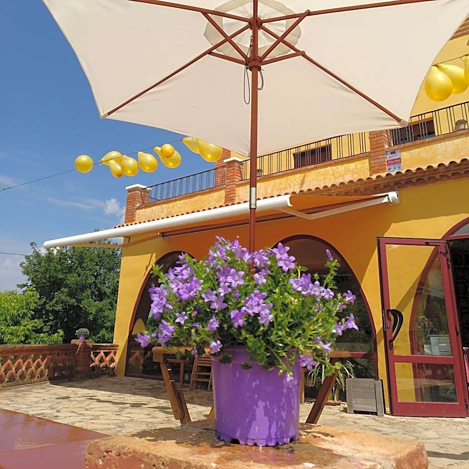 Mas Trucafort - Masia Braseria - Alojamiento Adults only