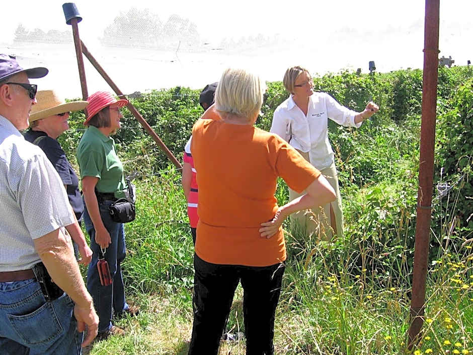 Bowral Road Art Gallery Bed and Breakfast