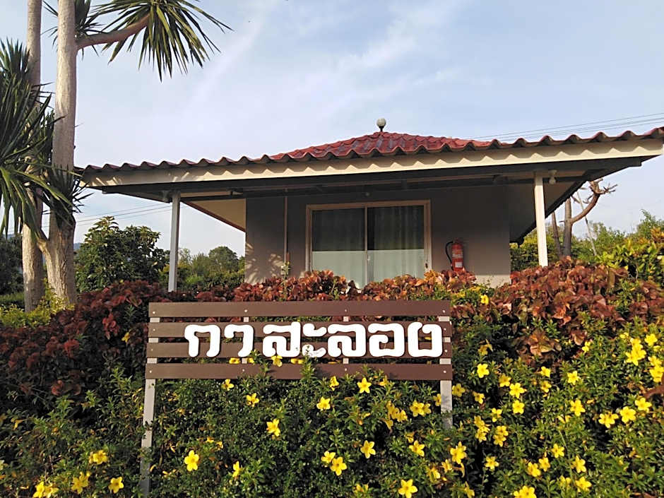 Khao Kho Flora