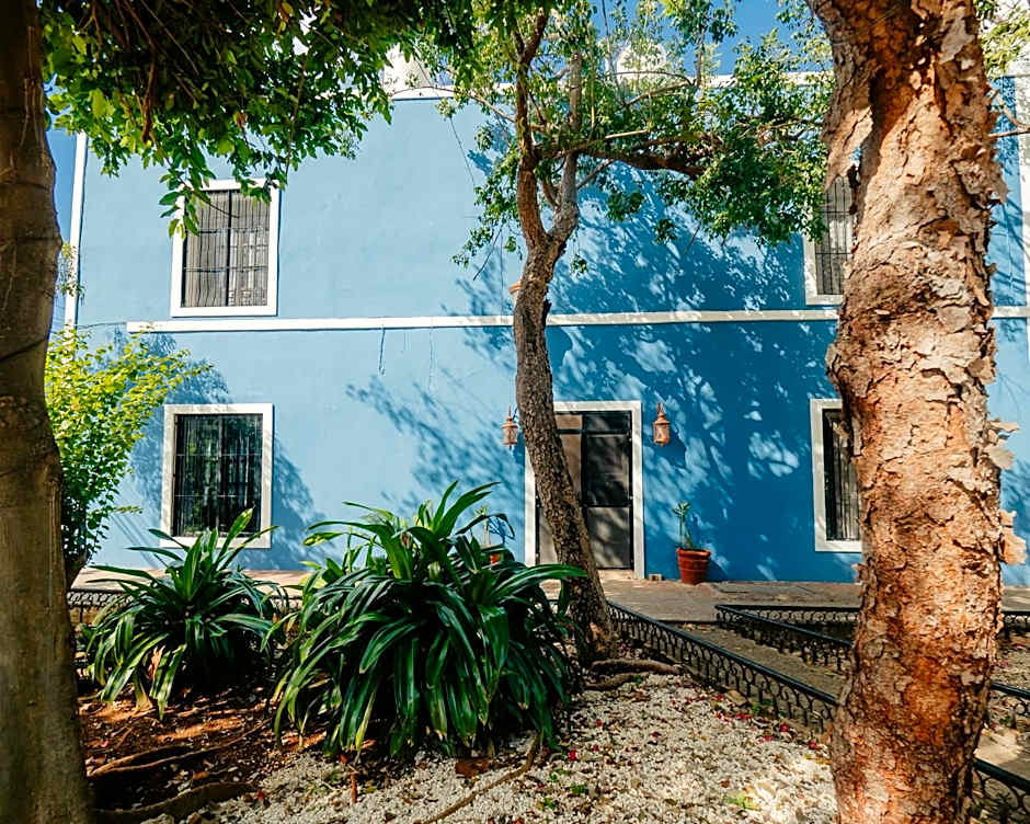 Nido Colibrí - Private Rooms and hostel Dorms in Remate de Paseo Montejo