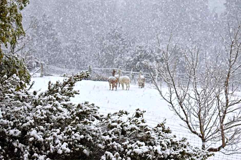 Maydena Mountain Cabins