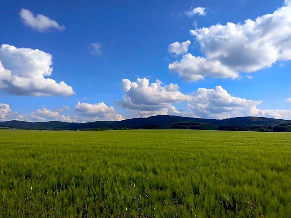 Hotel & Pension Aßmann