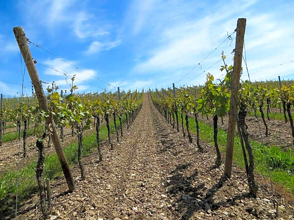 Villa Cavalletti Appartamenti