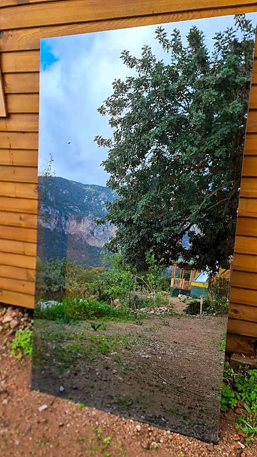 Goat Bungalow and Camping