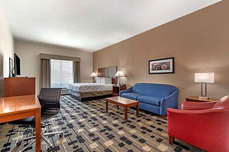 King Suite with Sofa Bed and Bathtub - Disability Access/Non-Smoking