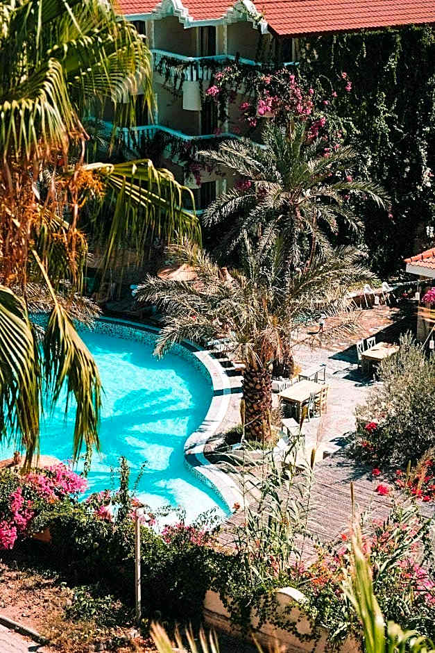 Flamingo Hotel and Spa