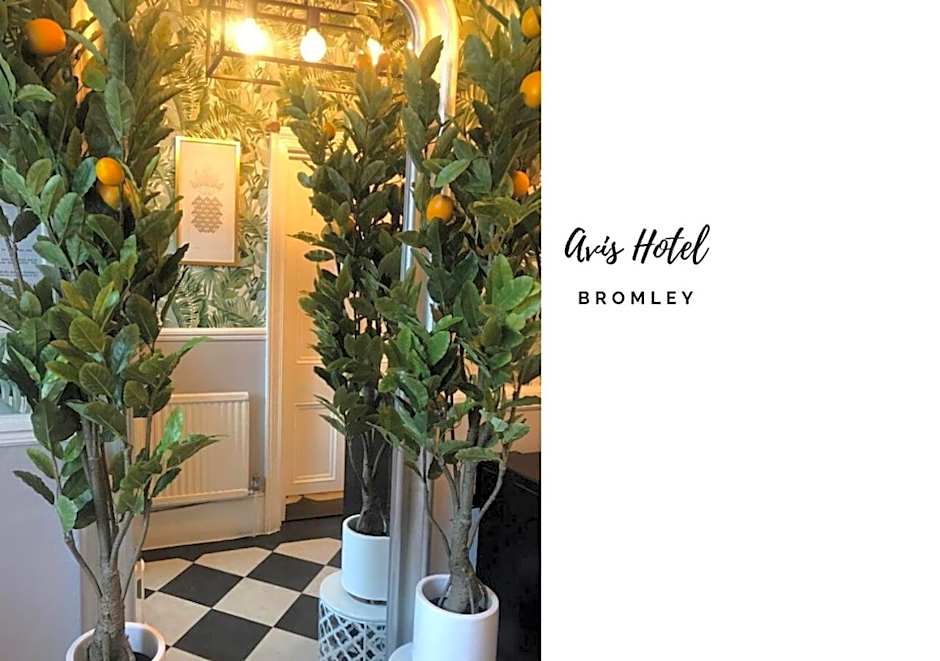 Avis Hotel