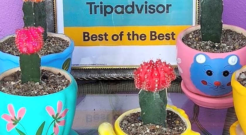 Ocean Lodge Langkawi