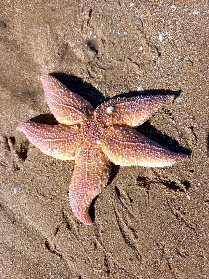 VILLA CATHY Chambres d hôtes