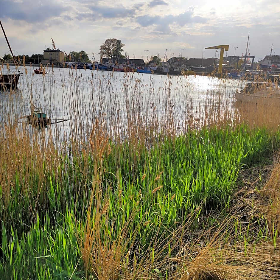 Domki BLANKA Jastarnia