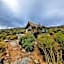 Oudrif Strawbale Retreat