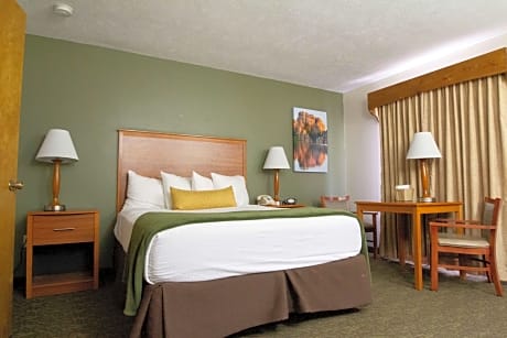 1 Queen Bed, Mobility Accessible, Communication Assistance, Bathtub, Non-Smoking, Continental Breakfast