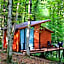 Eco Village In The Forest
