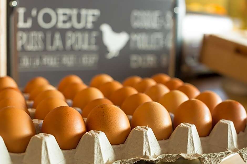 ibis Montpellier Sud