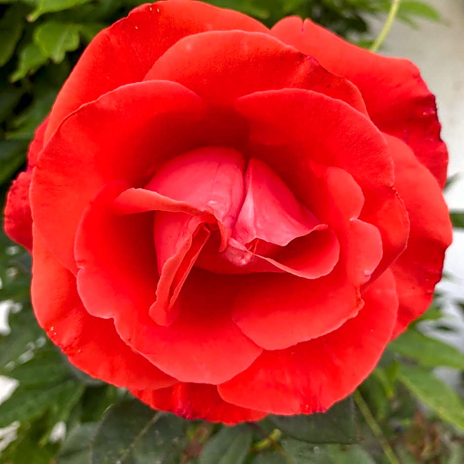 Infinity Wellness Boutique Hotel