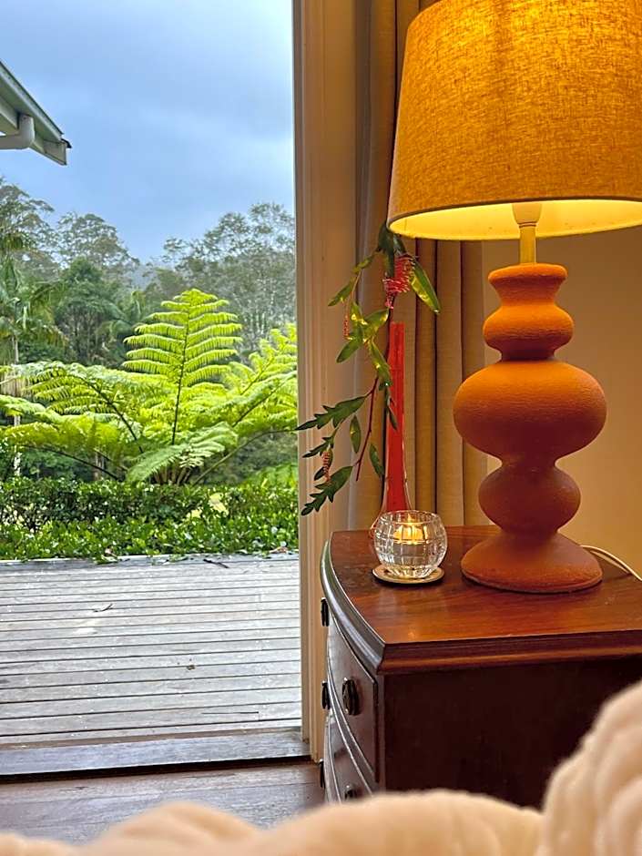 Nightcap Ridge - Byron Bay Hinterland