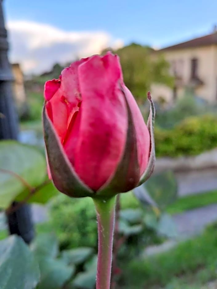 B&B Le rose di Paola
