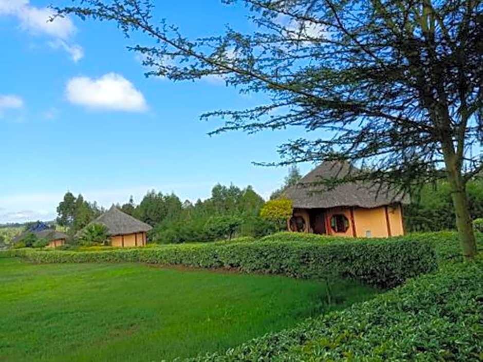 The Great Circle Lodge