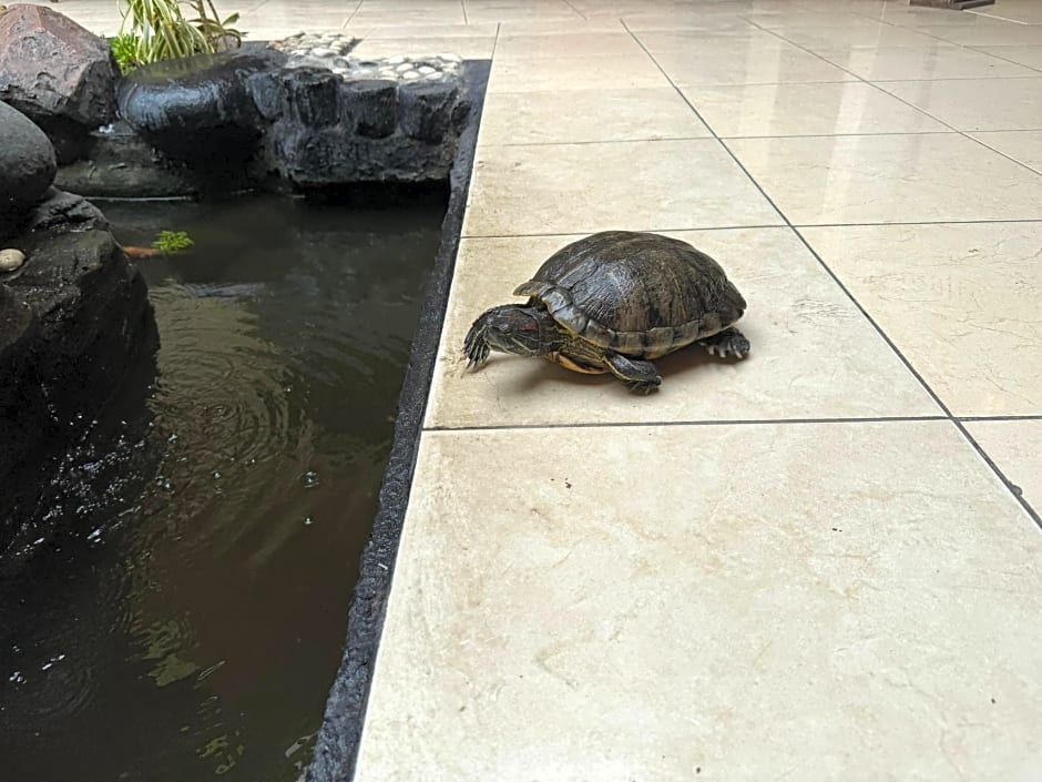 Hotel Priangan Cirebon 