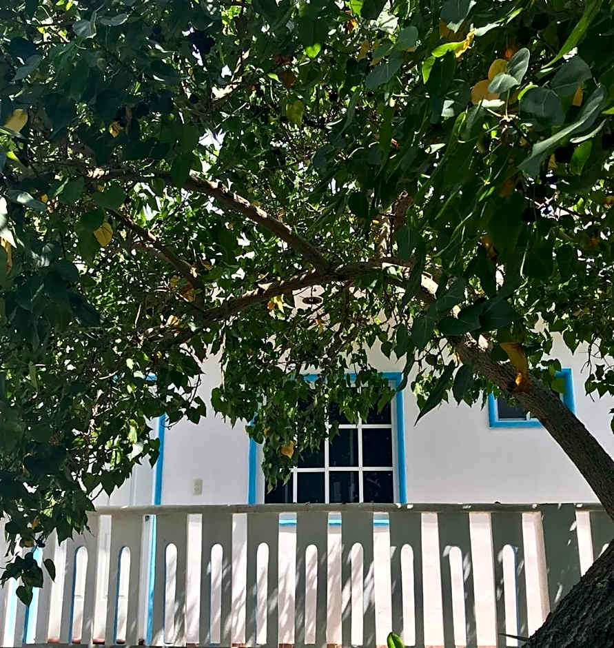 Estudios Rehilete