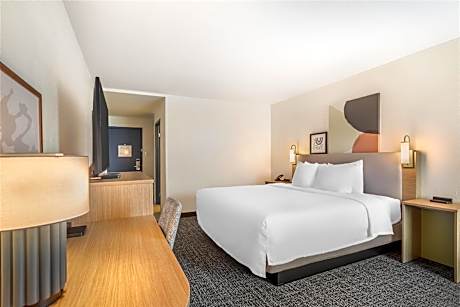 1 King Mobility/Hearing Accessible Ri Shower