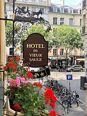 Hotel Du Vieux Saule