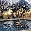 Gruene River Hotel & Retreat