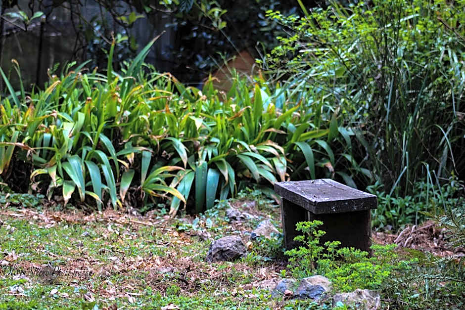 Tomah Retreat - Studio BREATHE with fireplace