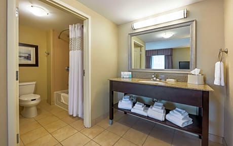 1 King Bed Studio Suite Whirlpool Nonsmoking