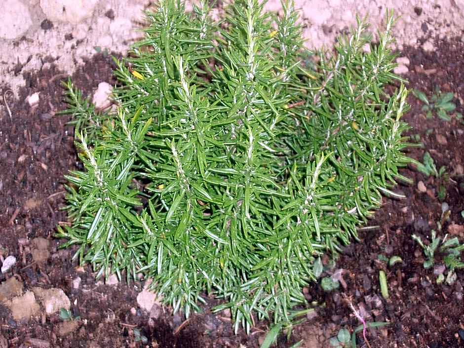 Hotel Alma de Romero