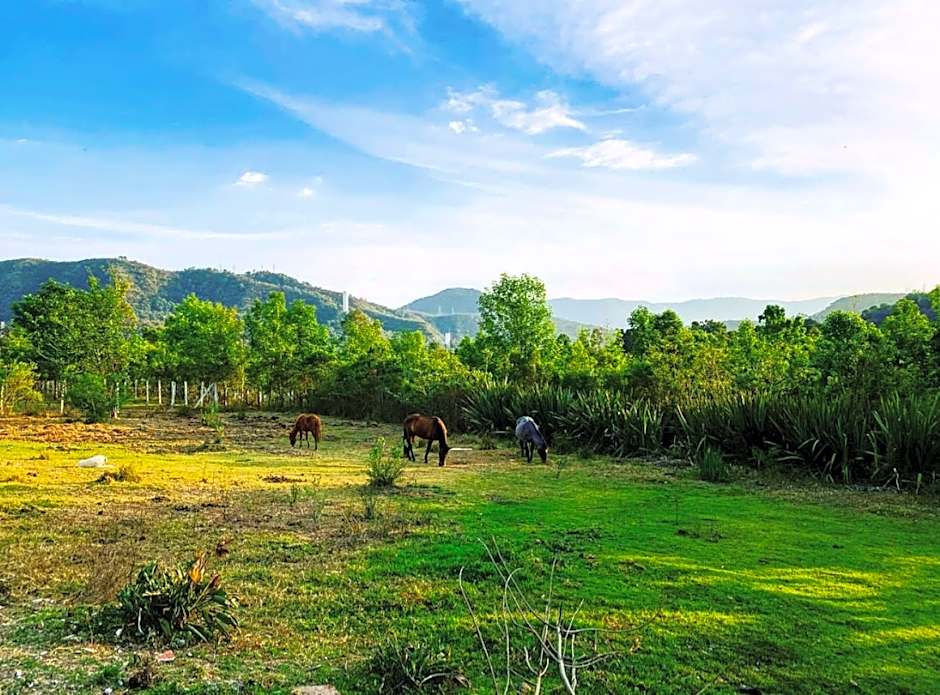 Rancho con Caballos El Reencuentro
