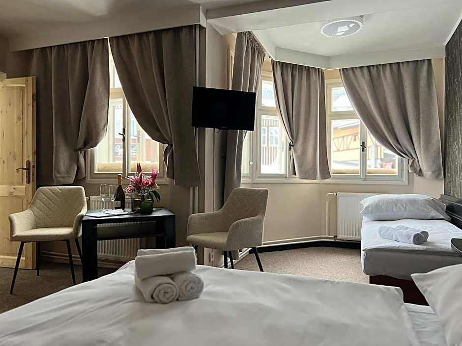 Hotel Lomnice