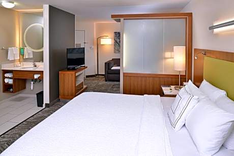 King Studio Suite with Sofa Bed and Adapted Tub - Mobility and Hearing Accessible