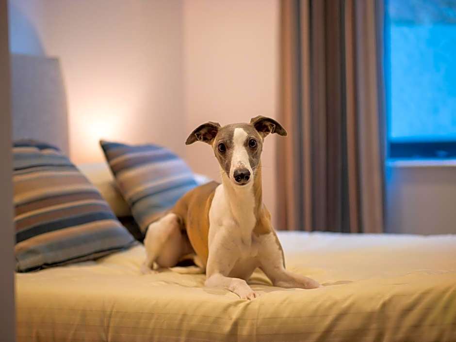 Harbour Stays - The Marine Centre, Saundersfoot Harbour, SA69 9HE