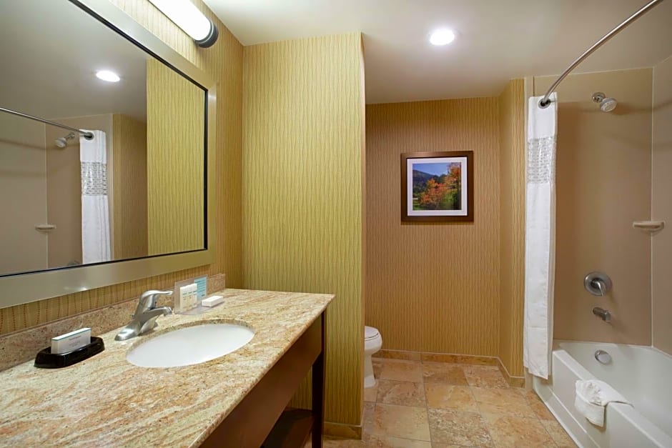 Hampton Inn By Hilton And Suites Denver/South-Ridgegate, Co