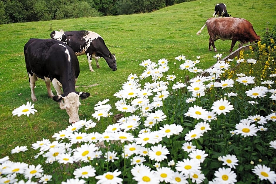 The Parlour, for Alton Towers & the Peak District