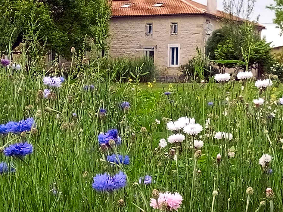 Chambres d'Hôtes Château Pierre de Montignac