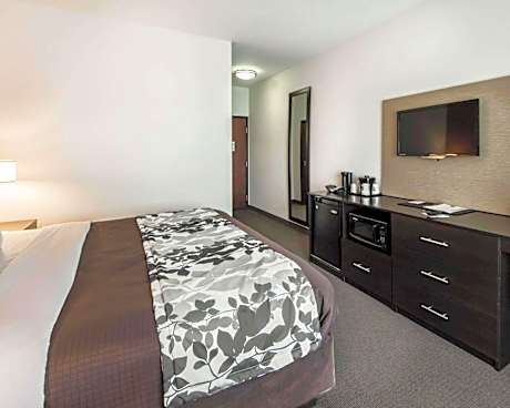 1 King Bed, Nonsmoking, Accessible