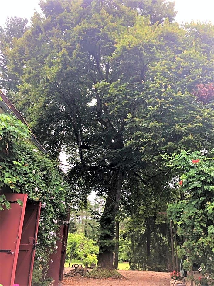 Chambres d'hotes Les Coustilles