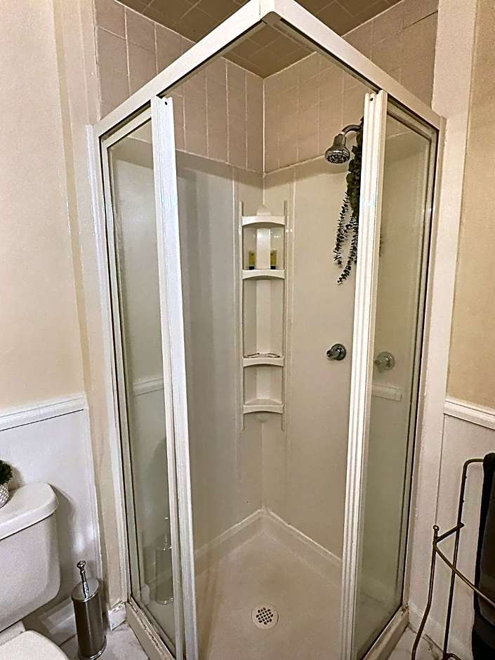 Historic LaSalle Downtown