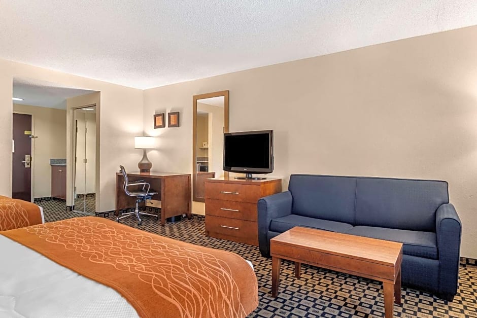 Comfort Inn & Suites Athens