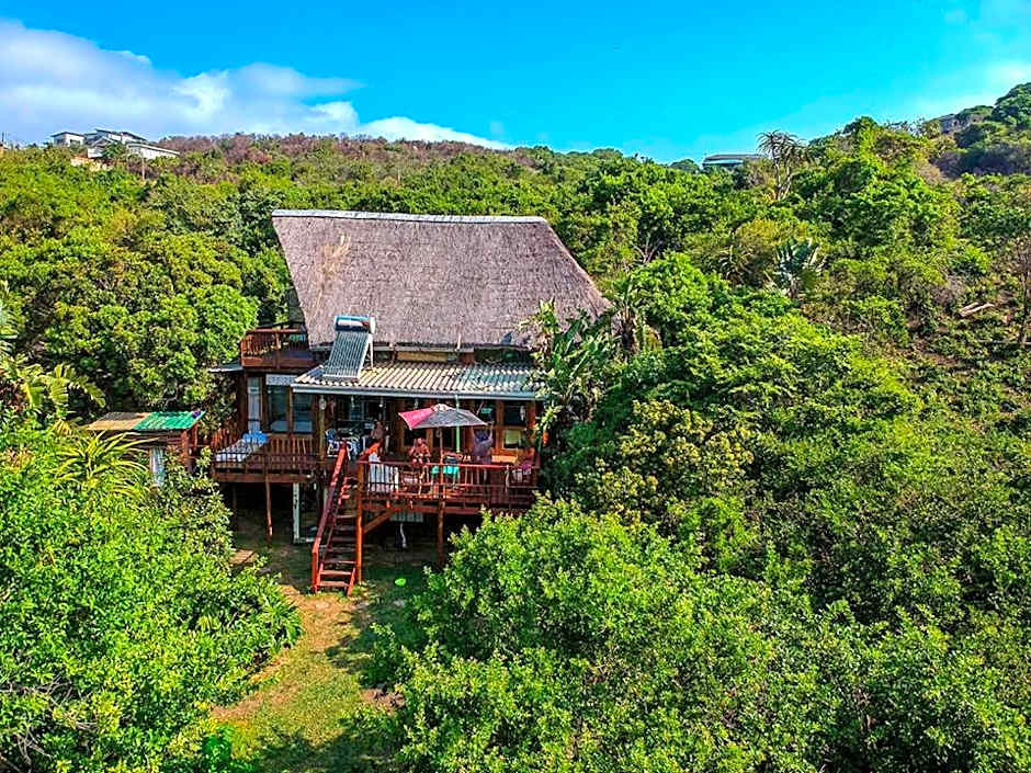 In The Green Backpackers