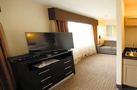 1 King Bed, Non-Smoking, Junior Suite, Sofabed, Wet Bar, High Speed Internet Access, Microwave And R