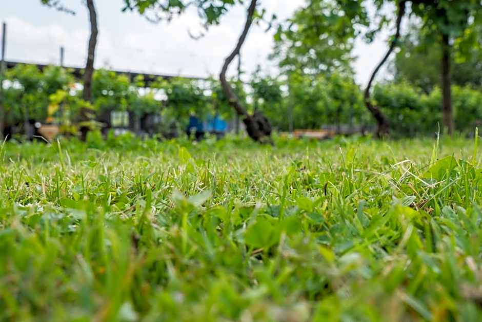 Albergo Diffuso Magredi